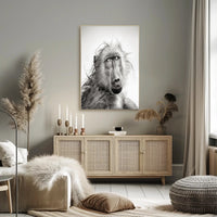 Baboon's Intense Gaze: Photorealistic Animal Poster PosterGoat