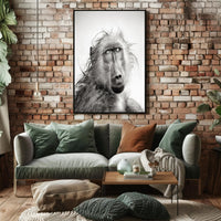 Baboon's Intense Gaze: Photorealistic Animal Poster PosterGoat
