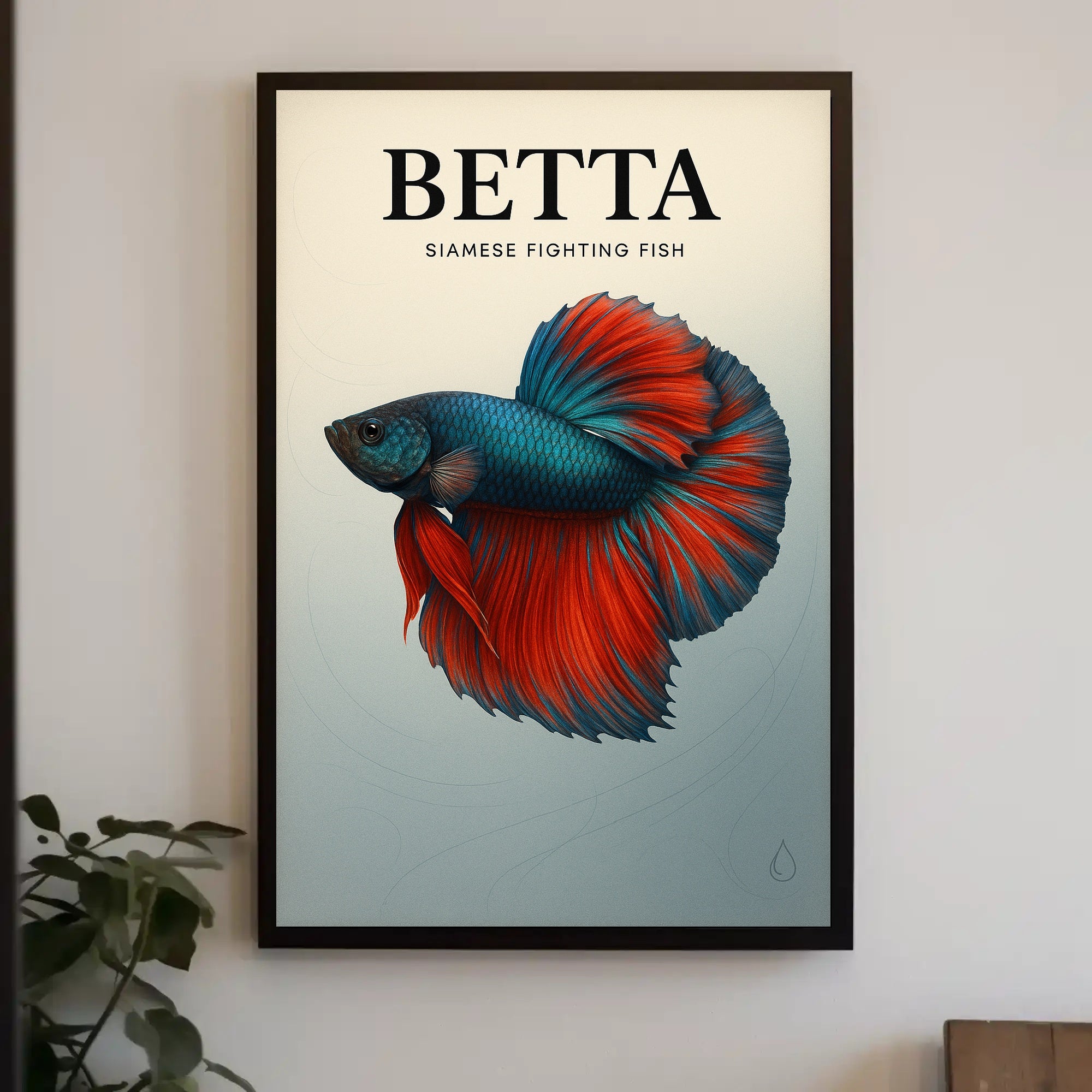 Betta Siamese Fighting Fish Poster PosterGoat