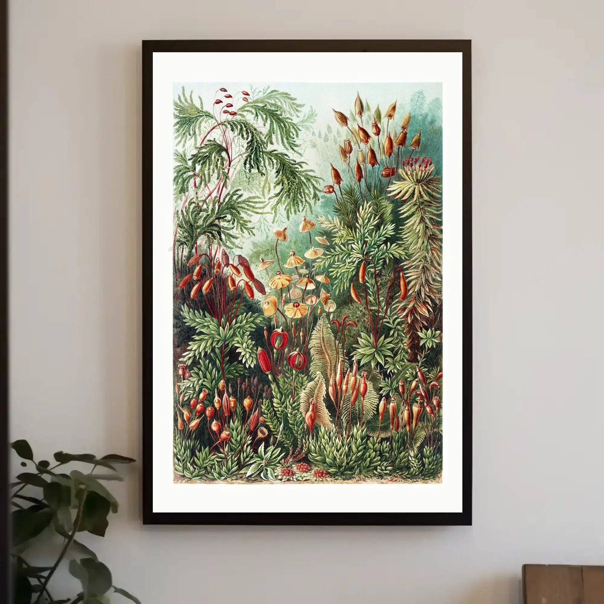 Botanical Wonders: Vintage Natural History Poster PosterGoat
