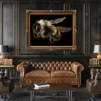 Bumblebee Close-Up Detail Captivates Animal Poster PosterGoat