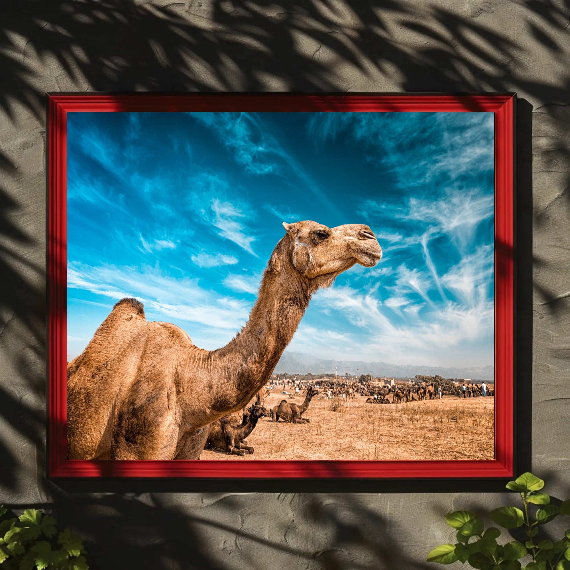 Camel in Desert Landscape with Blue Sky Animal Poster PosterGoat
