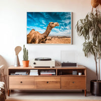 Camel in Desert Landscape with Blue Sky Animal Poster PosterGoat