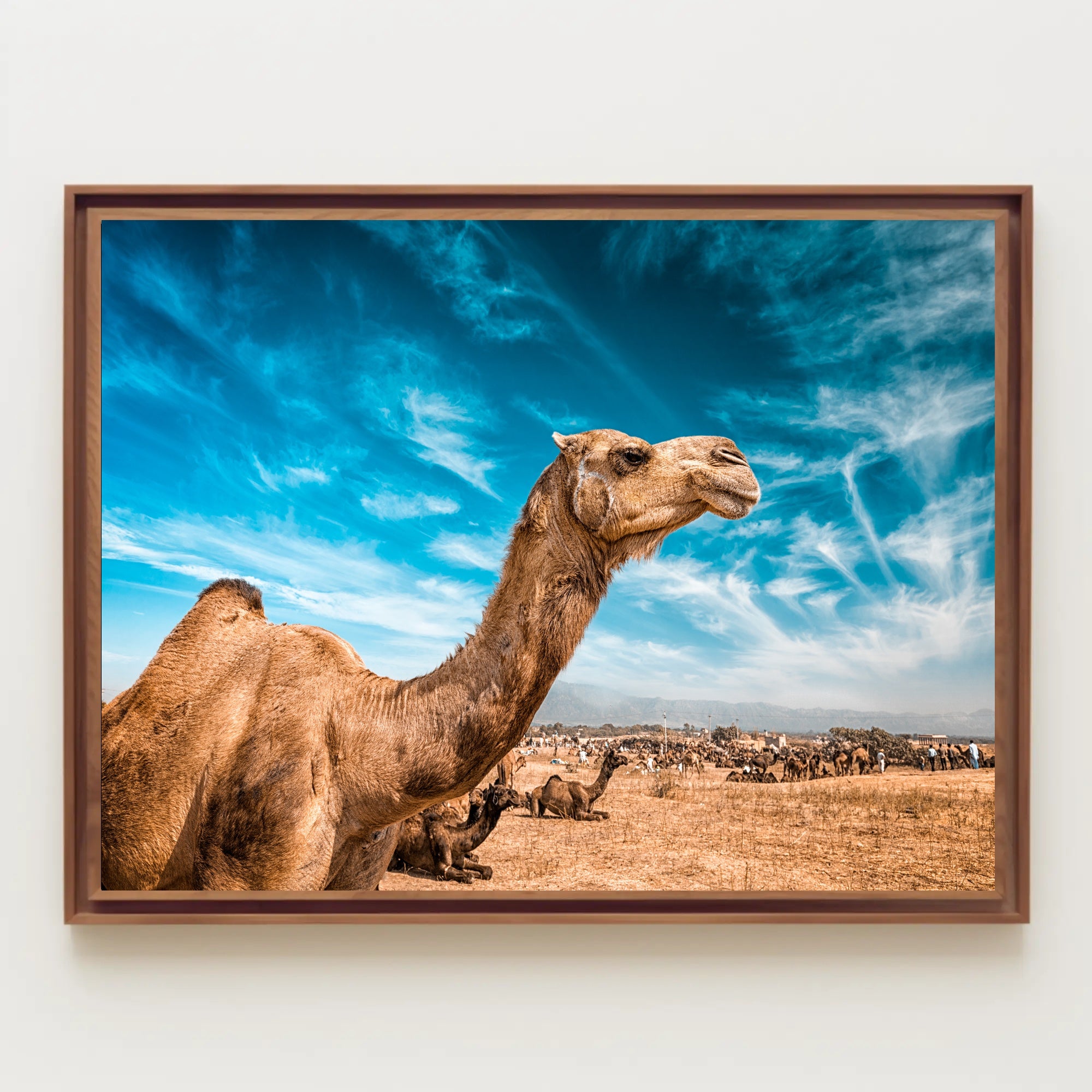 Camel in Desert Landscape with Blue Sky Animal Poster PosterGoat