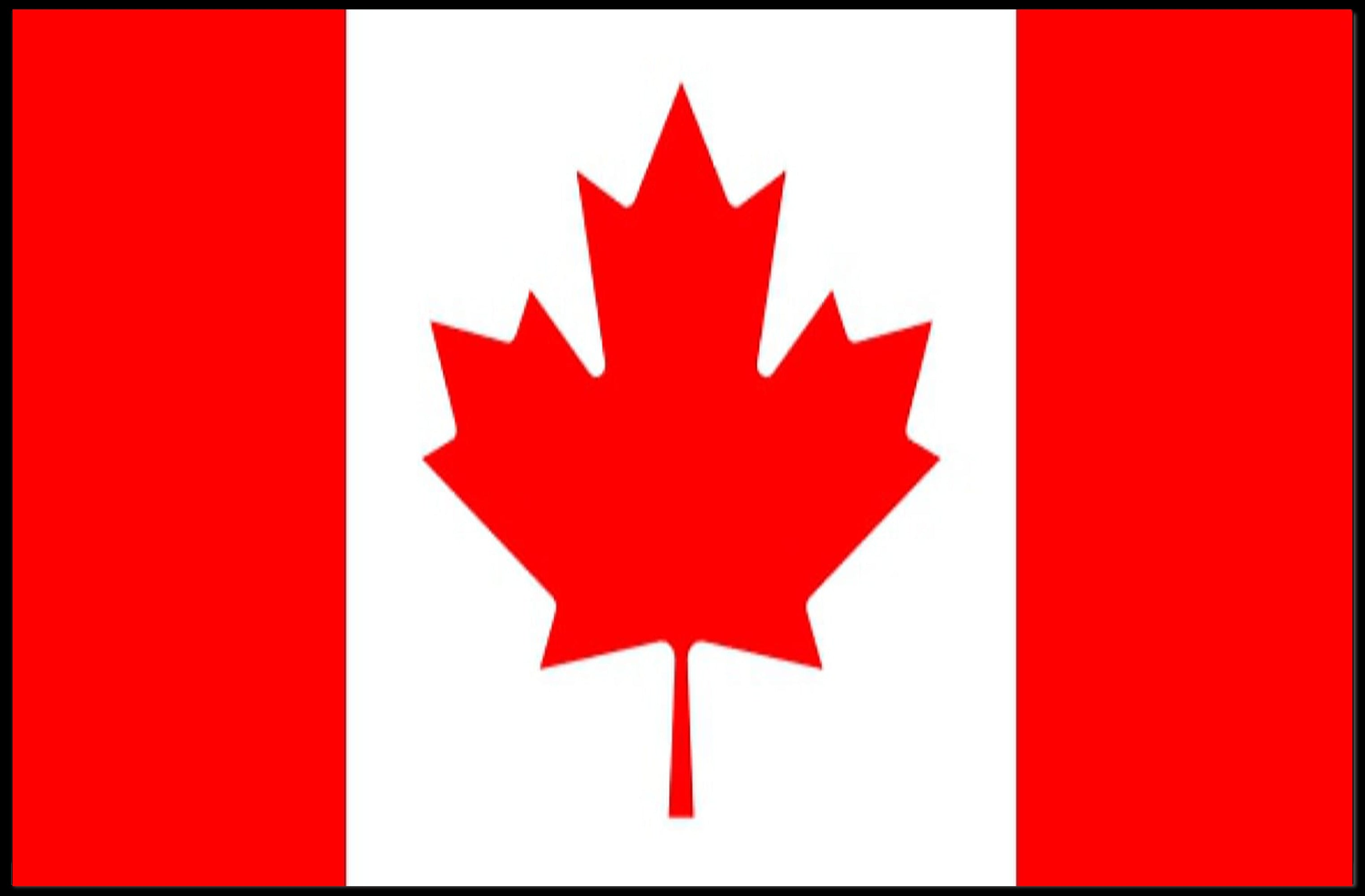 Canadian Flag Patriotic Minimalist Wall Art Country Flag Poster PosterGoat