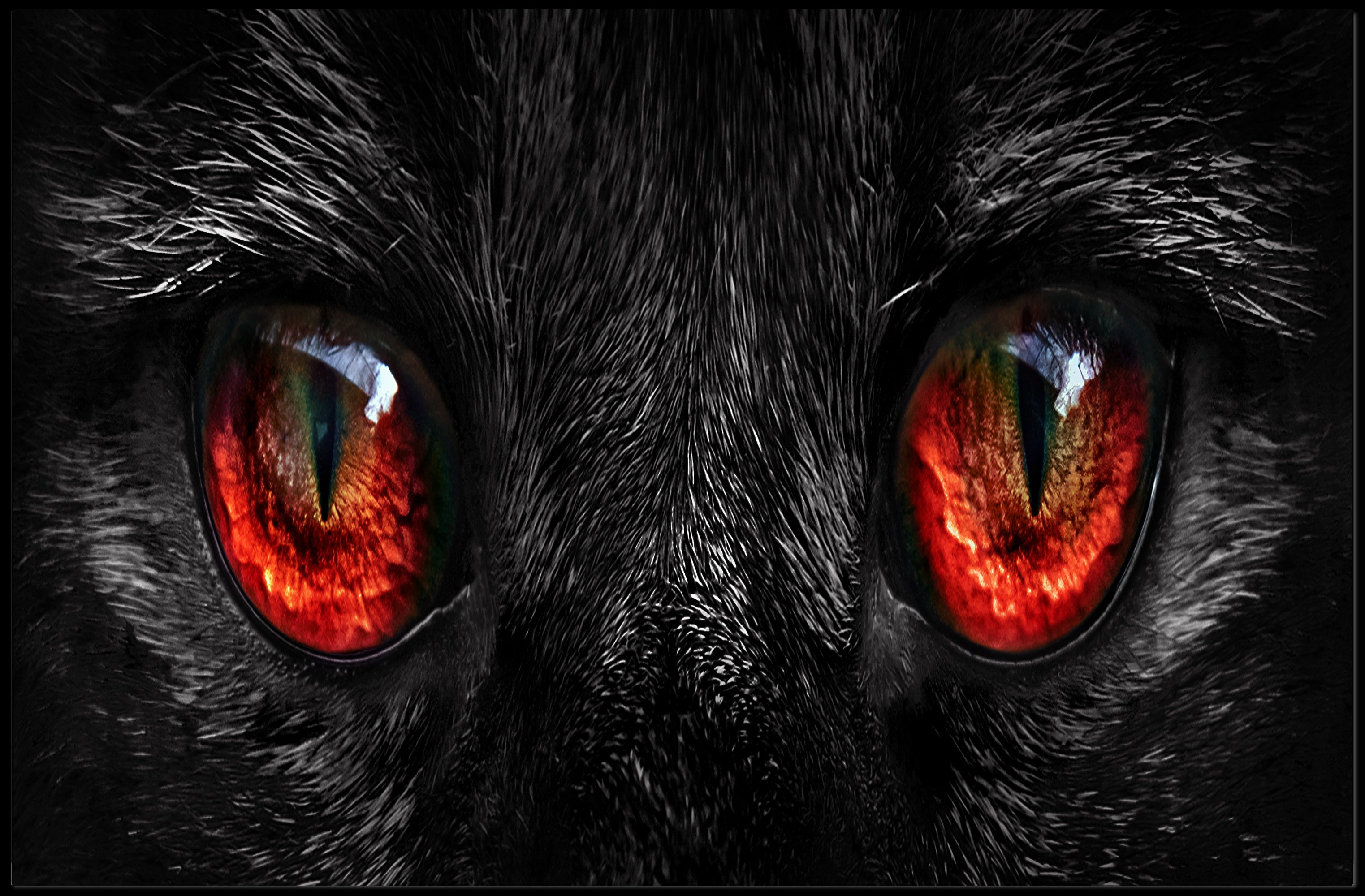 Cat Eyes Art Print, Animal Poster PosterGoat