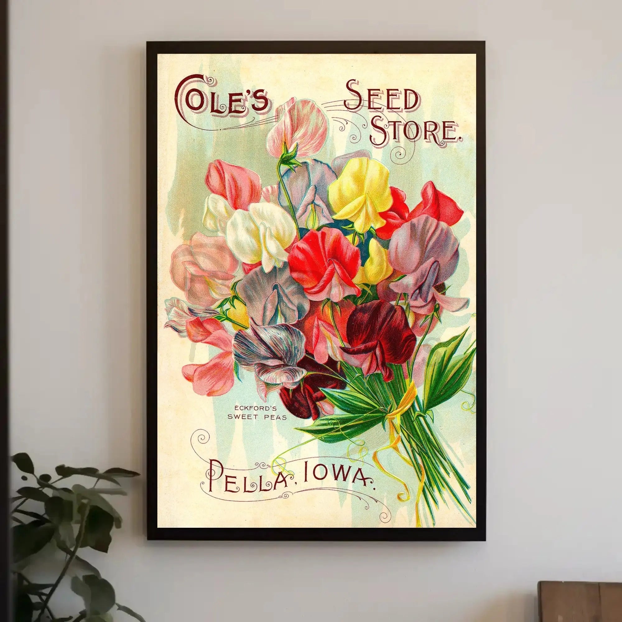 Cole's Seed Store Vintage Floral Advertisement Poster PosterGoat