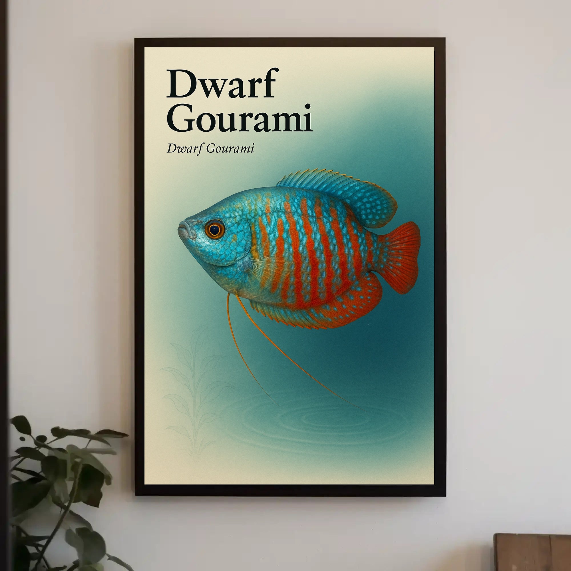 Dwarf Gourami Art Print Wall Decor Poster PosterGoat