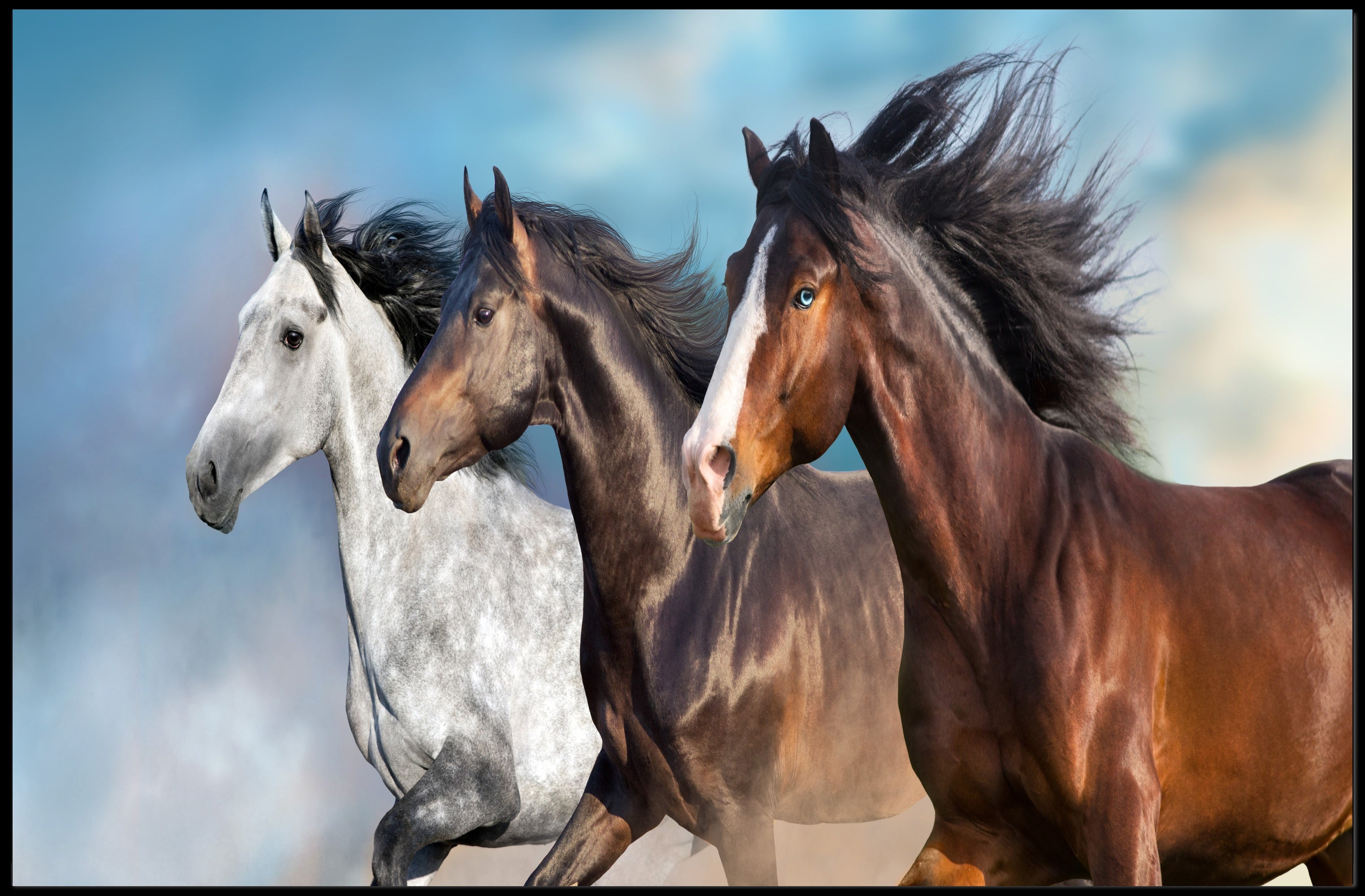 Dynamic Running Horses Art Print for Animal Poster PosterGoat