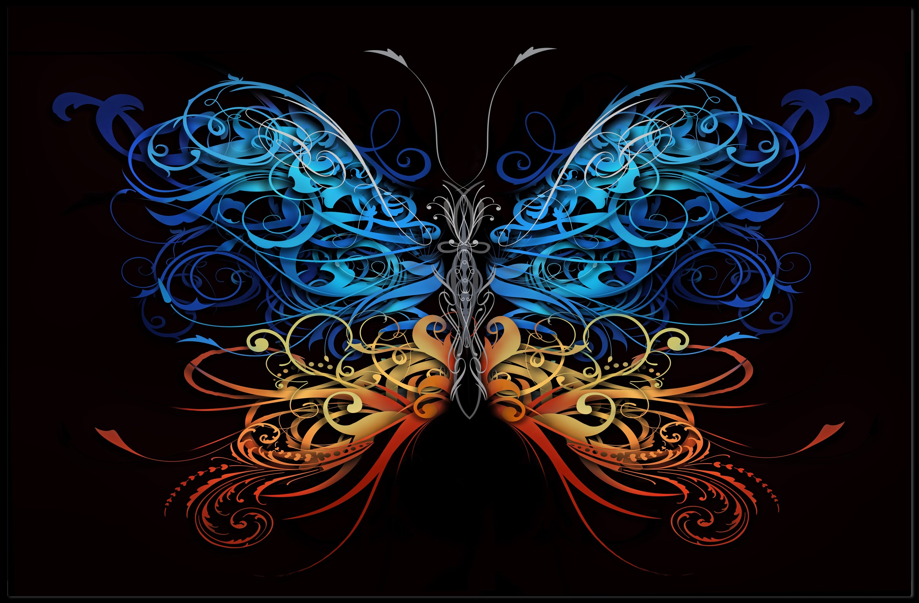 Elegant Ornate Butterfly: Animal Art Poster PosterGoat