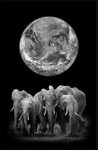 Elephants and Earth in Monochrome Animal Poster PosterGoat