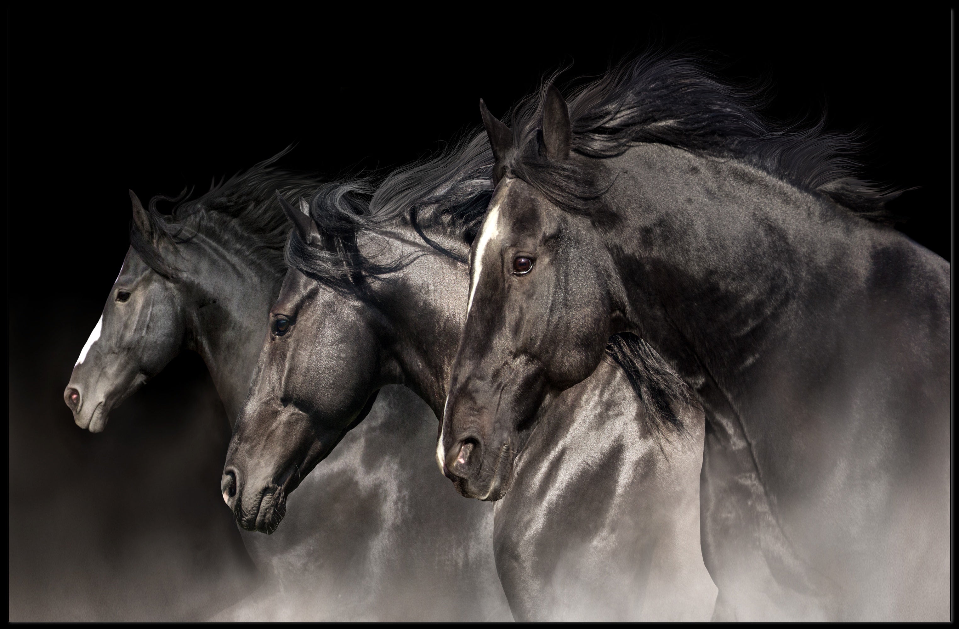 Galloping Horses in Motion: Dynamic Animal Poster PosterGoat