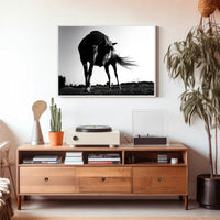 Graceful Horse in Motion Art: An Elegant Animal Poster PosterGoat