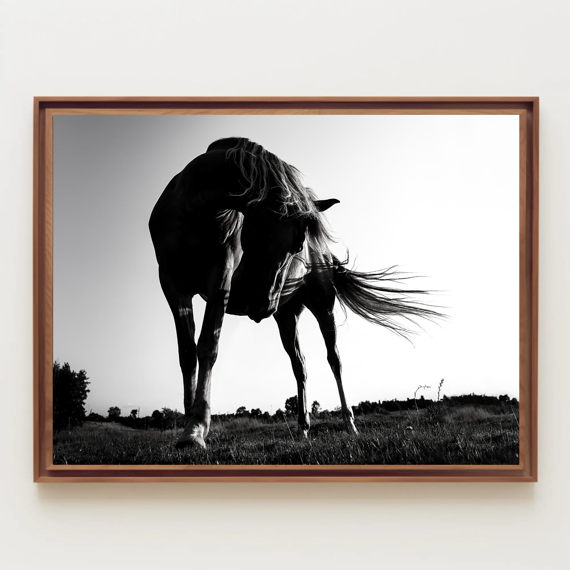 Graceful Horse in Motion Art: An Elegant Animal Poster PosterGoat