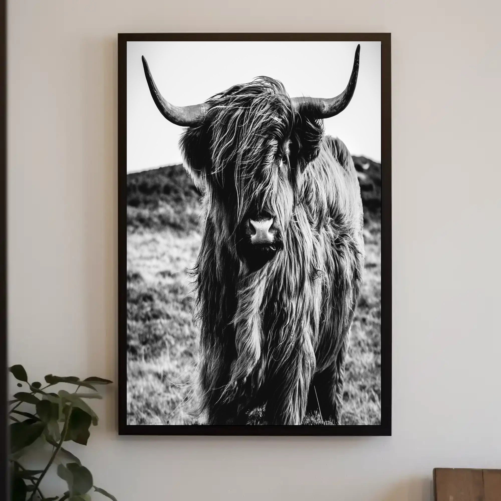 Highland Cow Portrait in Stunning Animal Poster PosterGoat
