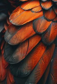 Intricate Feathers Art Print: Abstract, Artistic, or Pop Culture Poster PosterGoat