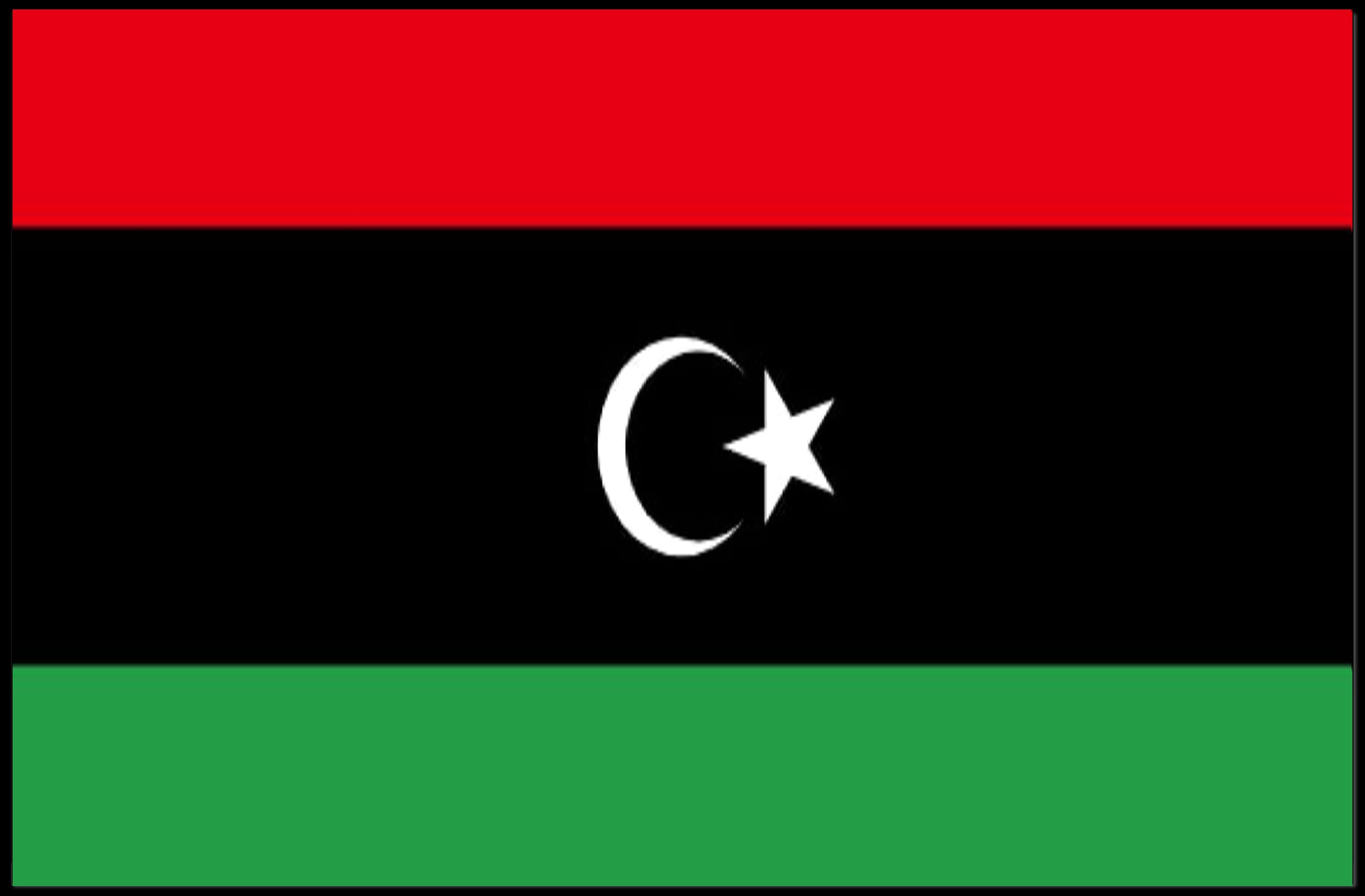 Libya National Flag Patriotic Country Flag Poster PosterGoat