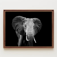 Majestic African Elephant Close-Up Wildlife Art Animal Poster PosterGoat