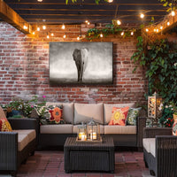 Majestic Elephant Emerging African Savannah Scene Animal Poster PosterGoat