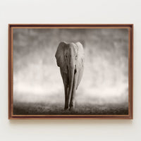 Majestic Elephant Emerging African Savannah Scene Animal Poster PosterGoat