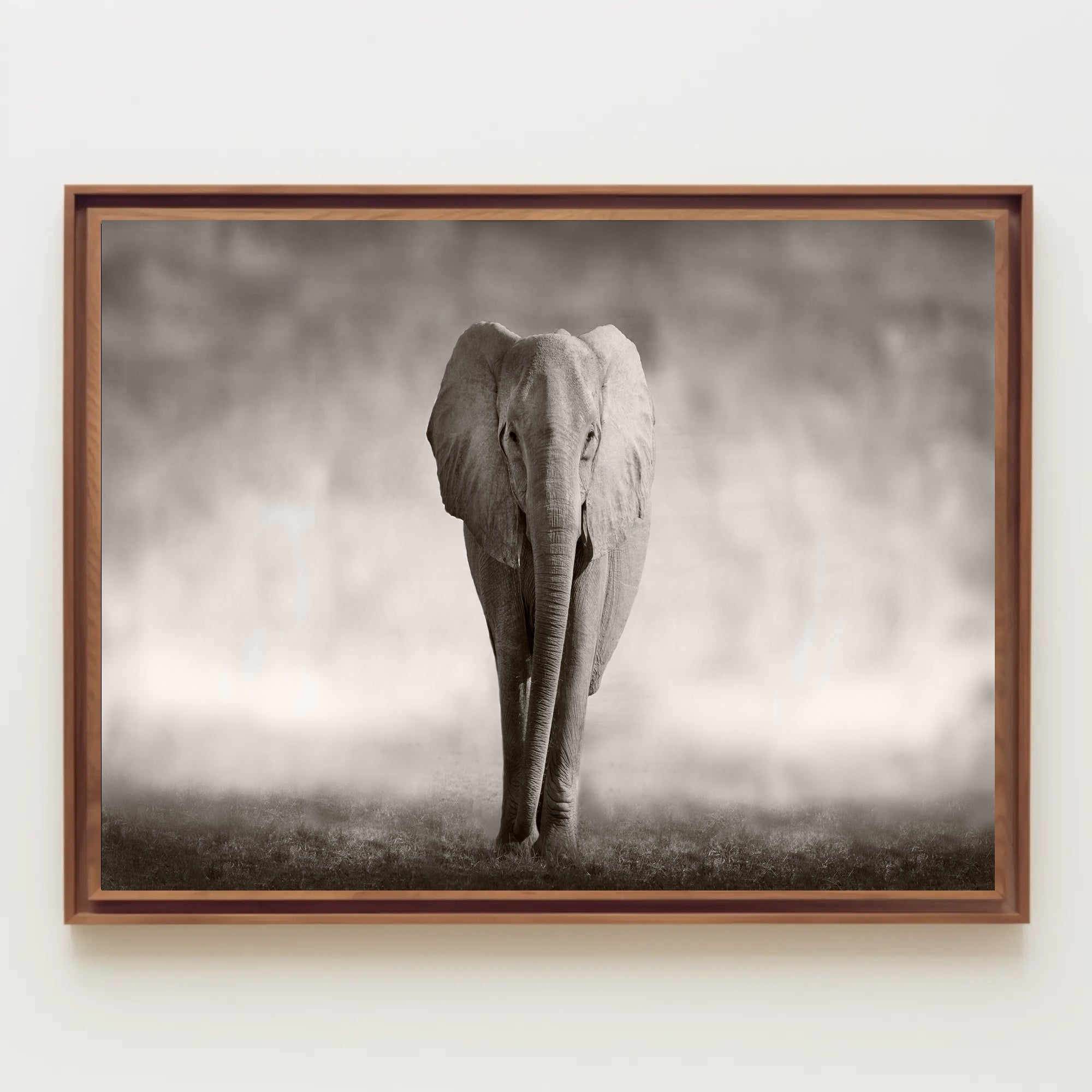 Majestic Elephant Emerging African Savannah Scene Animal Poster PosterGoat