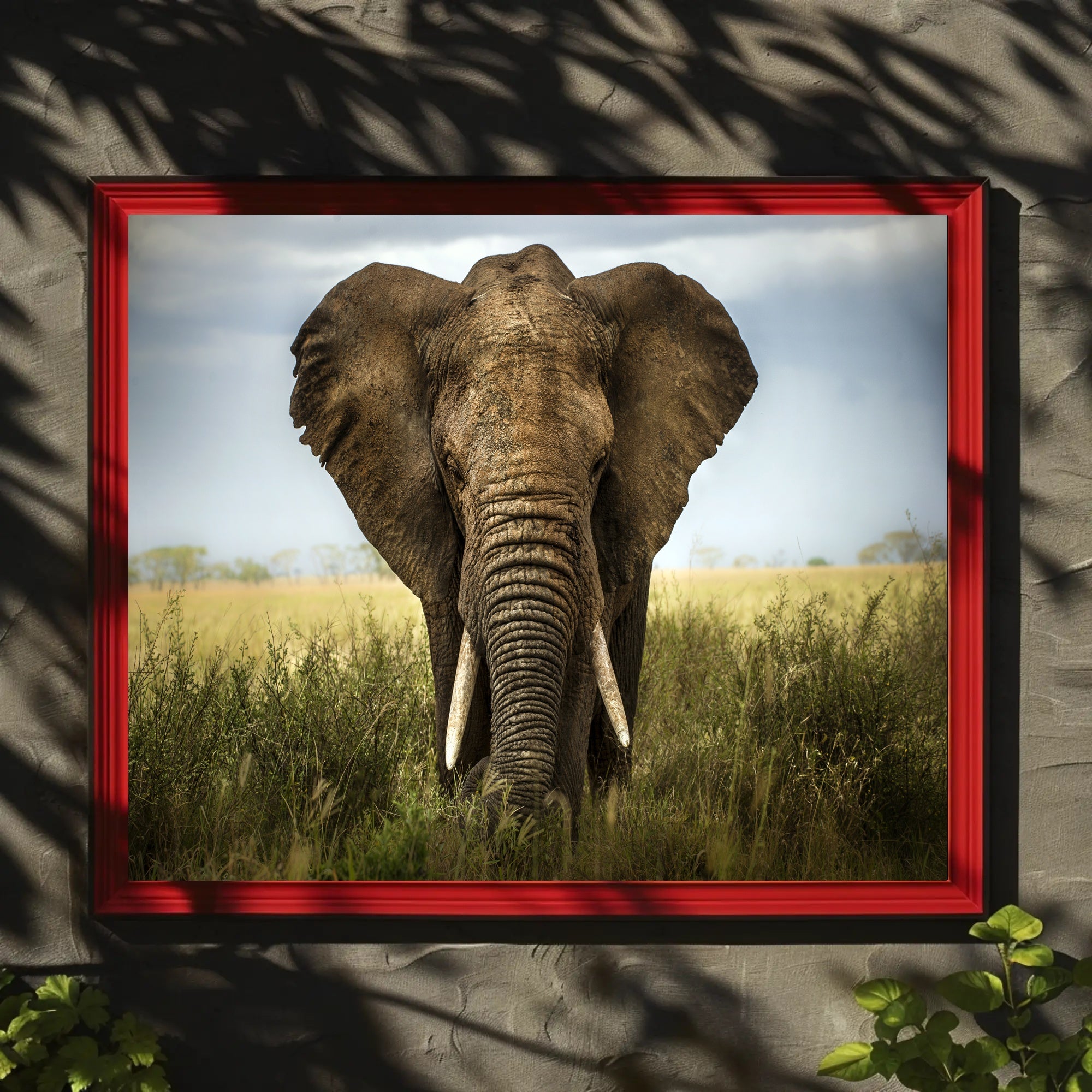 Majestic Elephant in African Savanna Animal Poster PosterGoat