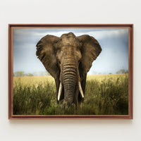Majestic Elephant in African Savanna Animal Poster PosterGoat