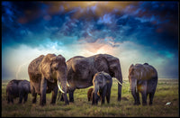 Majestic Elephants on African Savanna Animal Poster PosterGoat