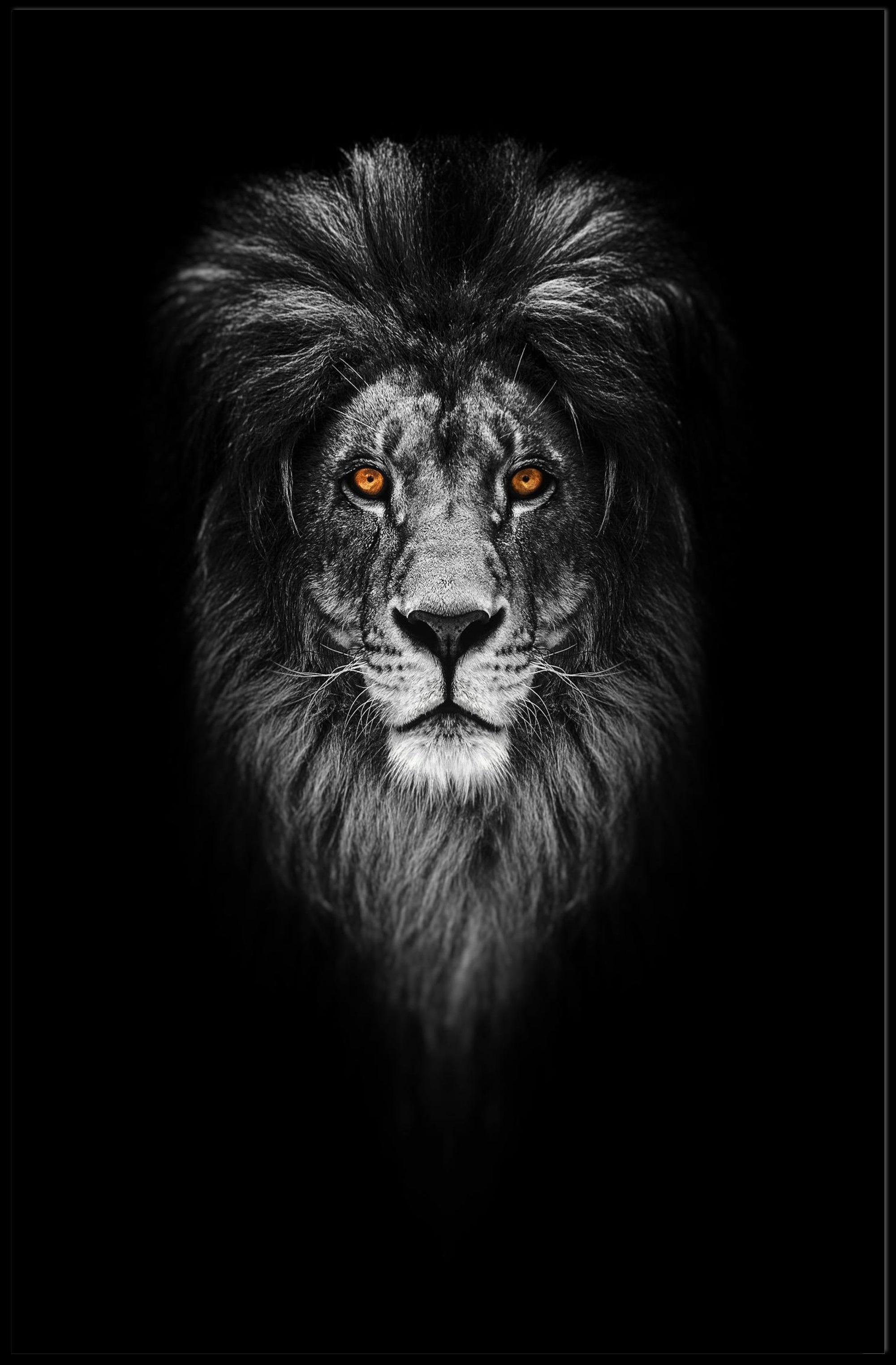 Majestic Lion with Orange Eyes Animal Poster PosterGoat