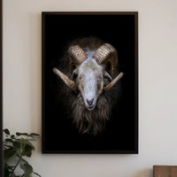 Majestic Sheep with Curved Horns Animal Poster PosterGoat