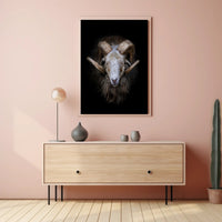 Majestic Sheep with Curved Horns Animal Poster PosterGoat