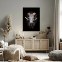 Majestic Sheep with Curved Horns Animal Poster PosterGoat
