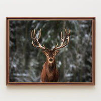 Majestic Snowy Forest Deer Animal Poster PosterGoat