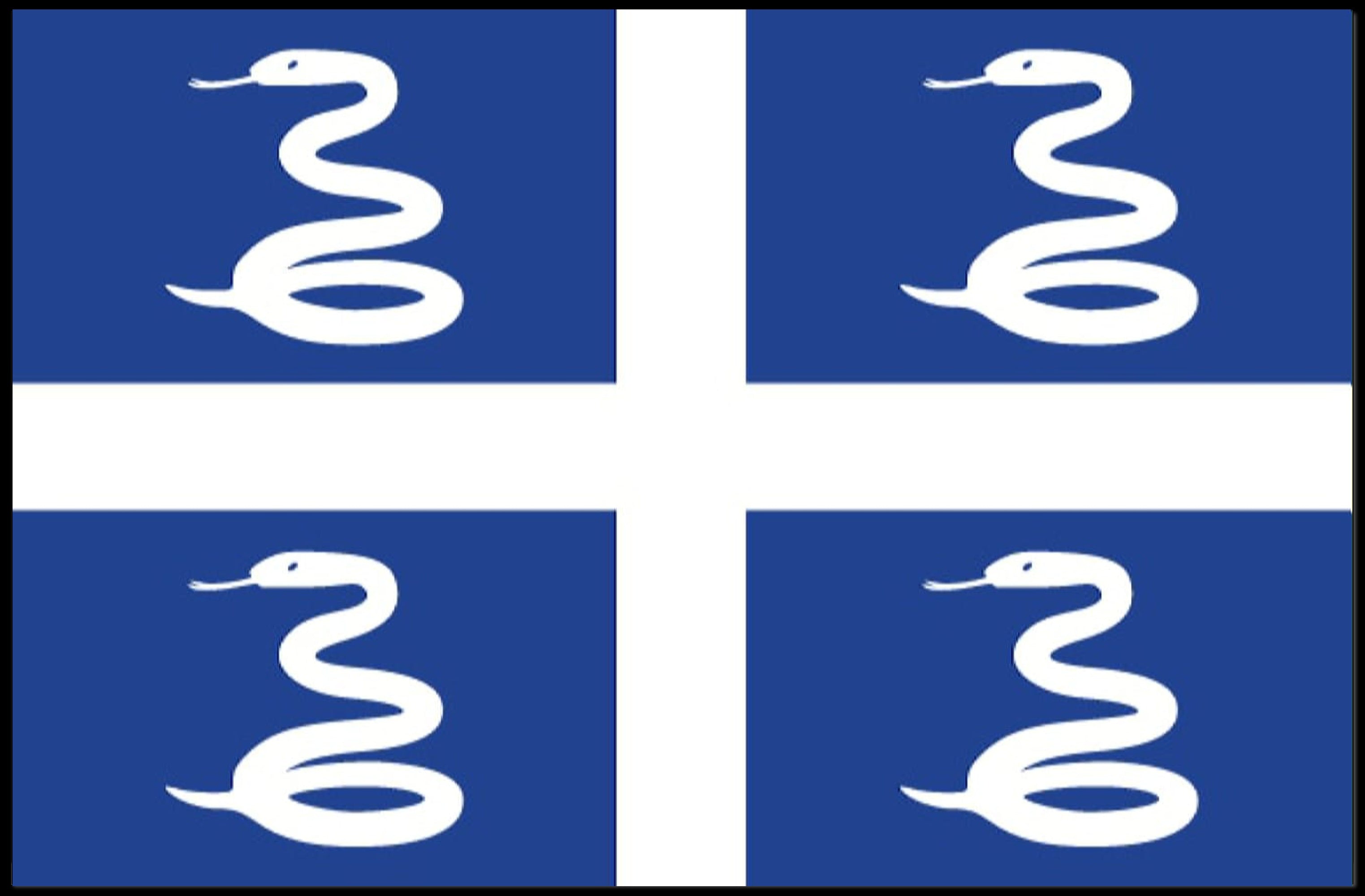 Martinique Emblem Flag Serpent Design Country Flag Poster PosterGoat