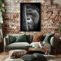 Orangutan Intrigue Photorealistic Black-and-White Animal Poster PosterGoat