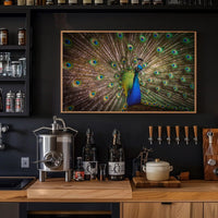 Peacock Beauty Vibrant Colors Animal Poster PosterGoat