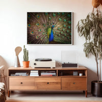 Peacock Beauty Vibrant Colors Animal Poster PosterGoat