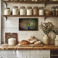 Peacock Beauty Vibrant Colors Animal Poster PosterGoat