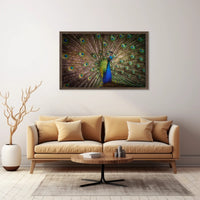 Peacock Beauty Vibrant Colors Animal Poster PosterGoat