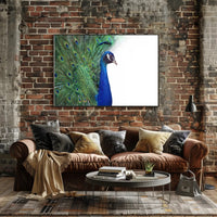 Peacock Elegance in Vibrant Colors Animal Poster PosterGoat