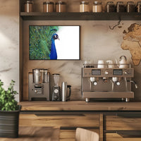 Peacock Elegance in Vibrant Colors Animal Poster PosterGoat