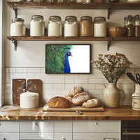 Peacock Elegance in Vibrant Colors Animal Poster PosterGoat