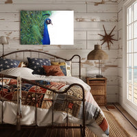 Peacock Elegance in Vibrant Colors Animal Poster PosterGoat