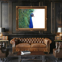 Peacock Elegance in Vibrant Colors Animal Poster PosterGoat