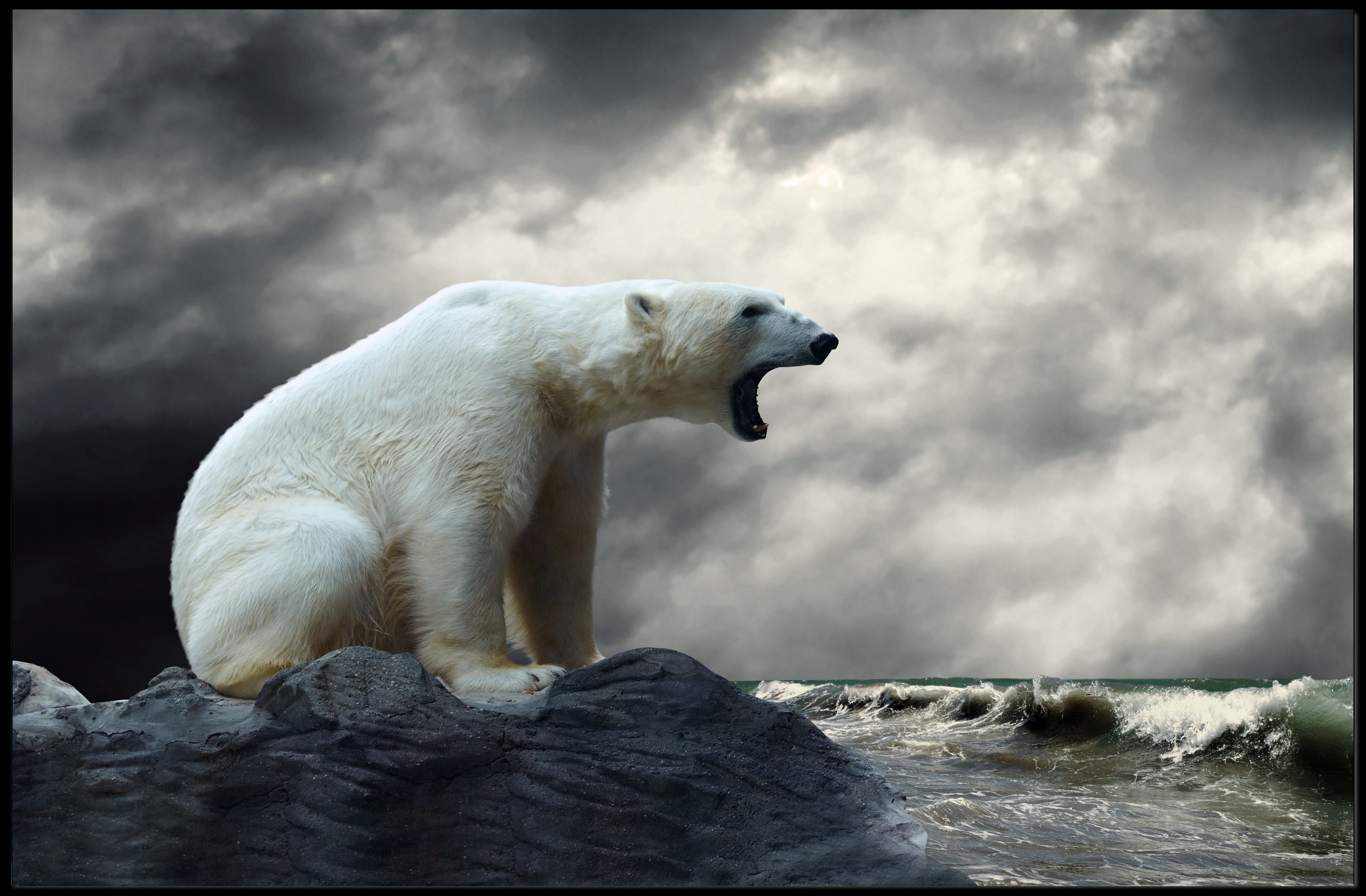 Polar Bear Coastal Adventure Animal Poster PosterGoat