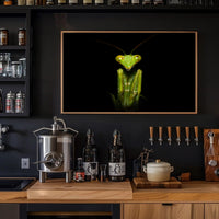 Praying Mantis Striking Green Art Display: Animal Poster PosterGoat