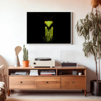Praying Mantis Striking Green Art Display: Animal Poster PosterGoat