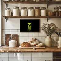 Praying Mantis Striking Green Art Display: Animal Poster PosterGoat