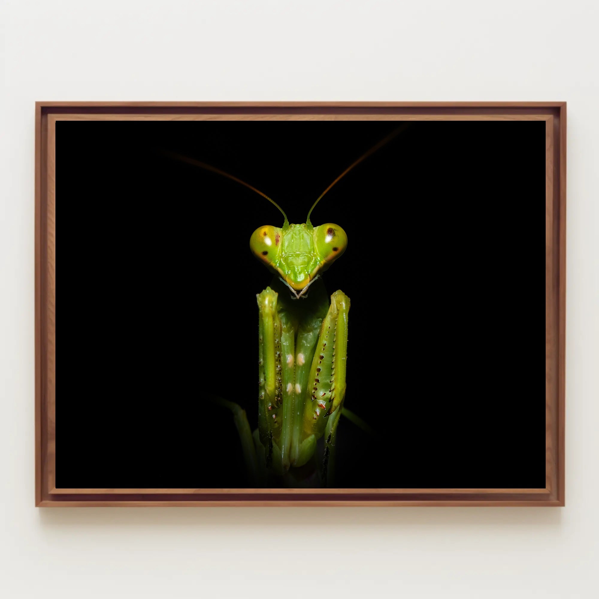 Praying Mantis Striking Green Art Display: Animal Poster PosterGoat