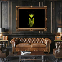 Praying Mantis Striking Green Art Display: Animal Poster PosterGoat
